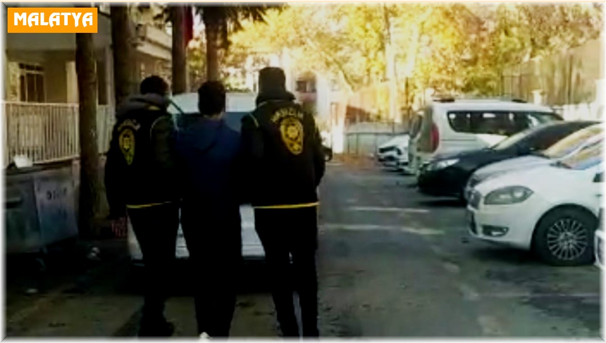 Okul faresi yakalandı