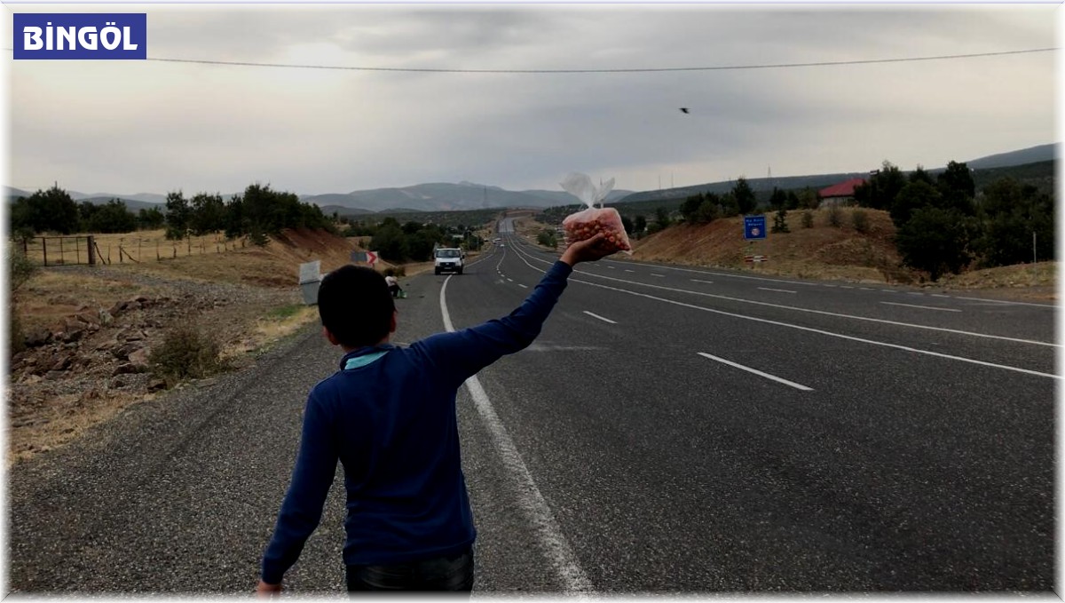 Okul harçlıklarını çıkarmak için yol kenarında 'alıç' satıyorlar