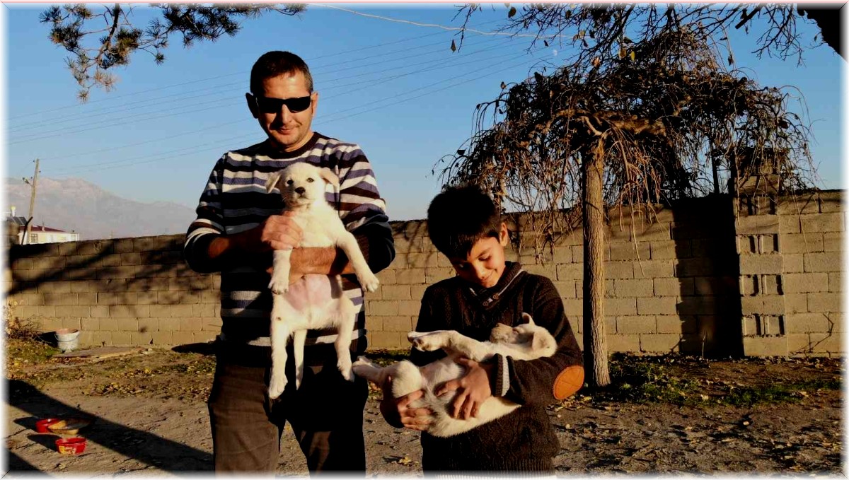 Ölmek üzereyken bir çocuk tarafından bulunan iki yavru köpek, Özdemir ailesinin neşe kaynağı oldu