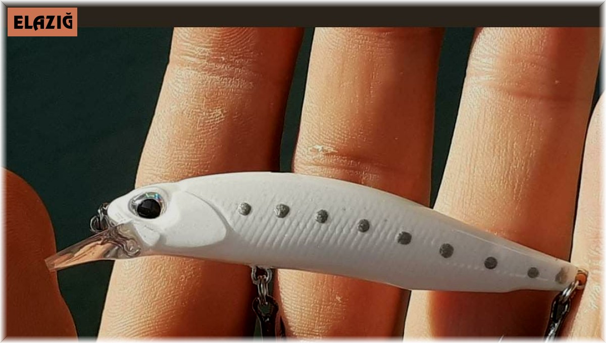 Oltaya balık değil martı takıldı