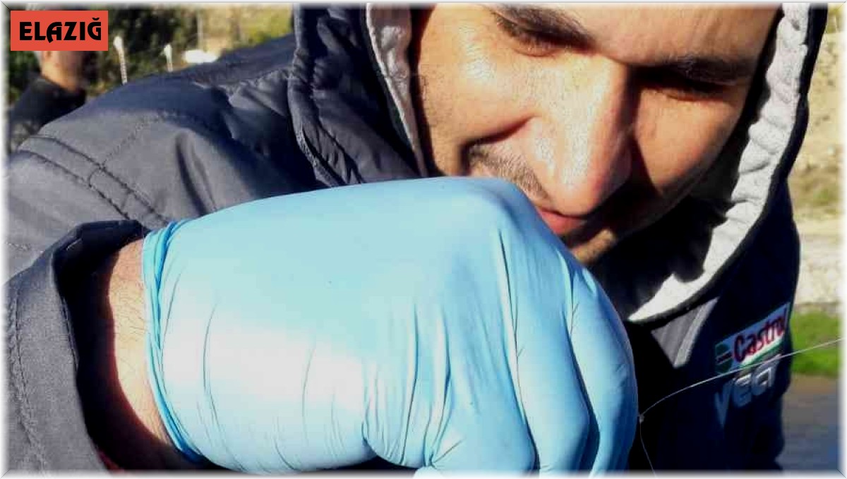 Oltaya balık yerine yarasa takıldı, görenler şaşkına döndü