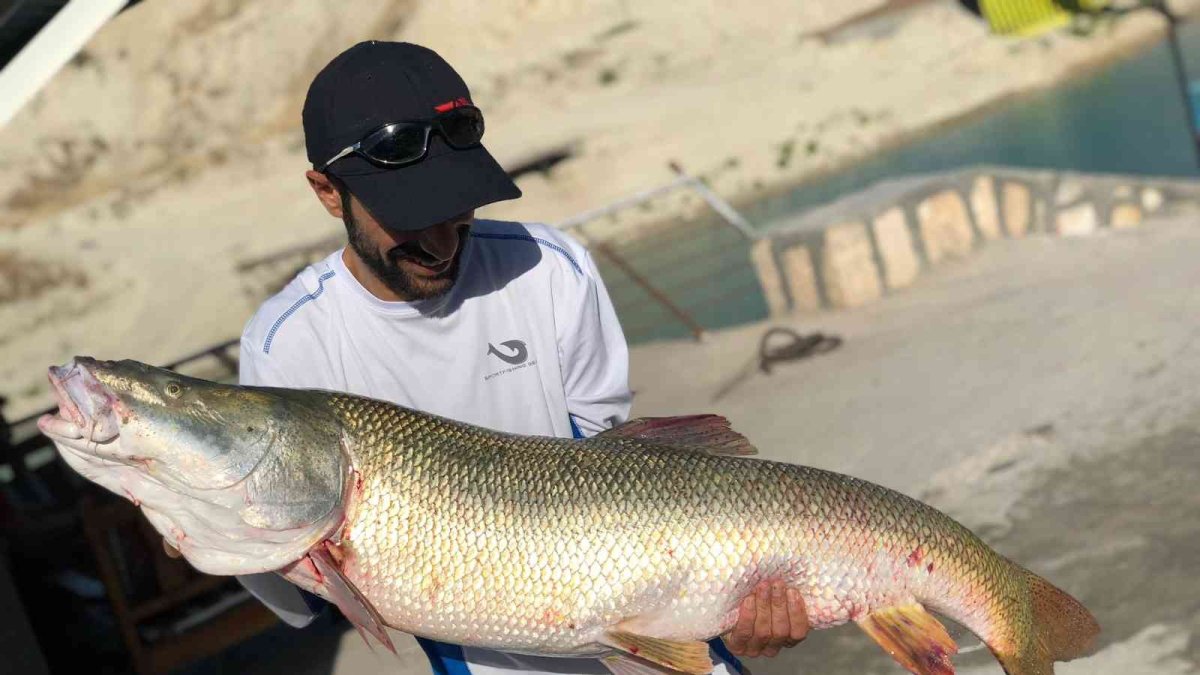 Oltayla 26 kiloluk dev turna balığı yakaladılar