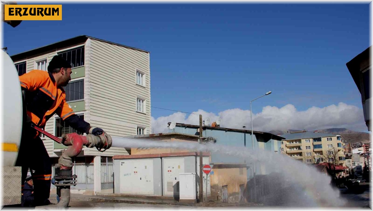 Oltu caddelerinde bahar temizliği