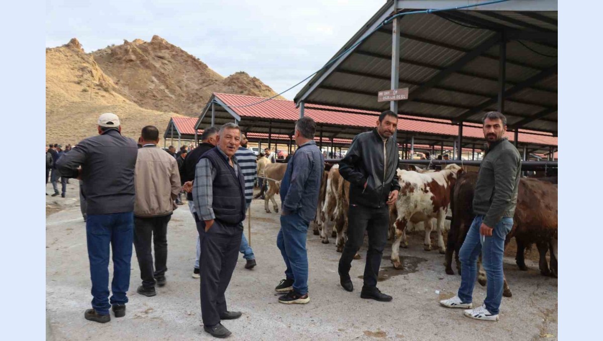 Oltu canlı hayvan pazarı şap hastalığı sonrası eski canlılığına kavuştu