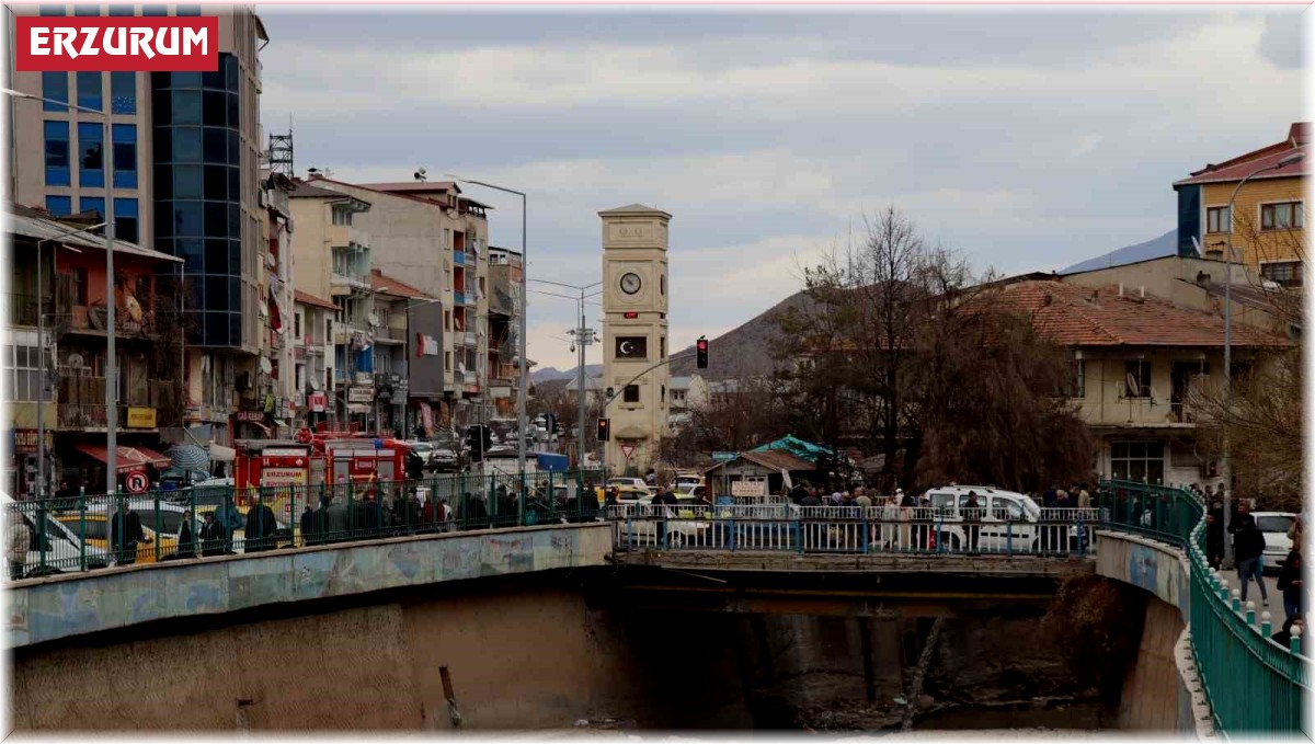 Oltu Çayı'nda köpek kurtarma operasyonu