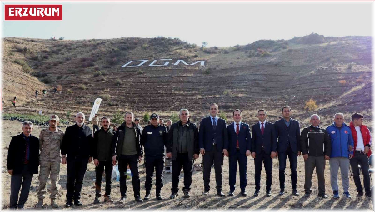 Oltu'da 5 bin ağaç toprakla buluştu