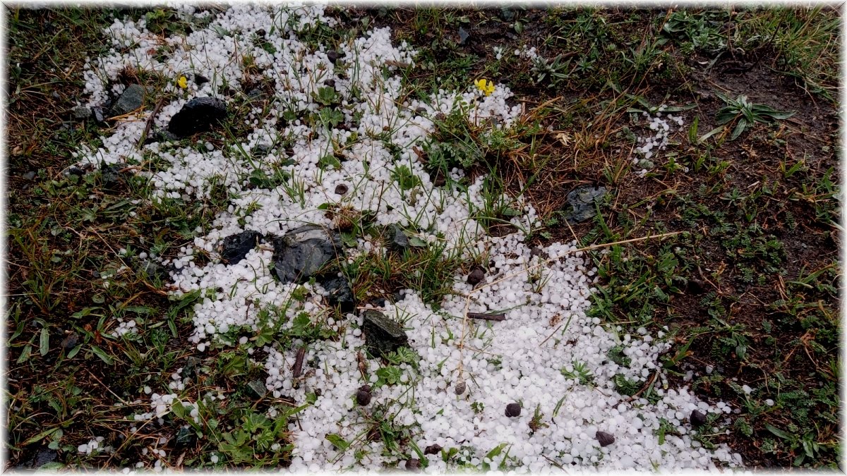 Oltu'da dolu yağışı