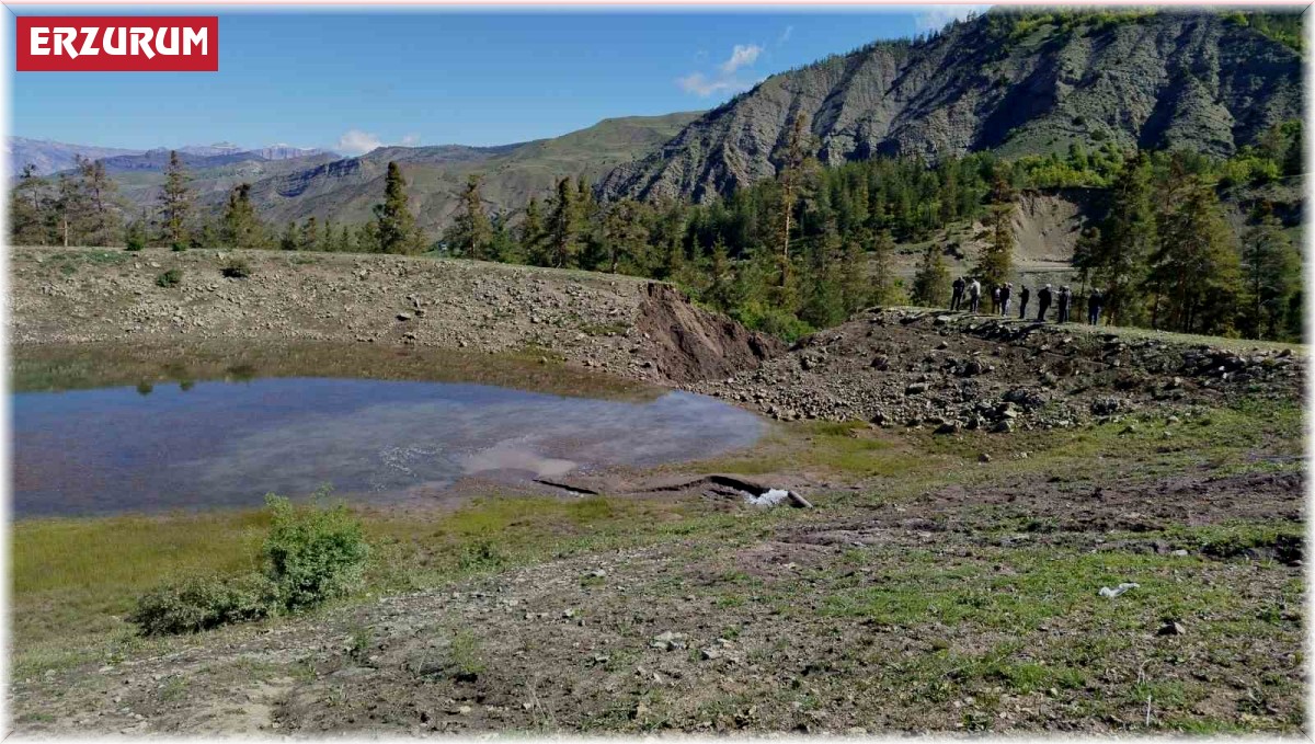 Oltu'da gölet taştı, bahçe ve araziler sular altında kaldı