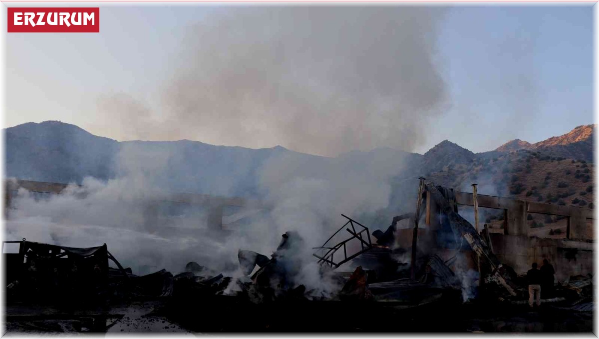 Oltu'da kereste fabrikası yandı, zarar 50 milyon TL