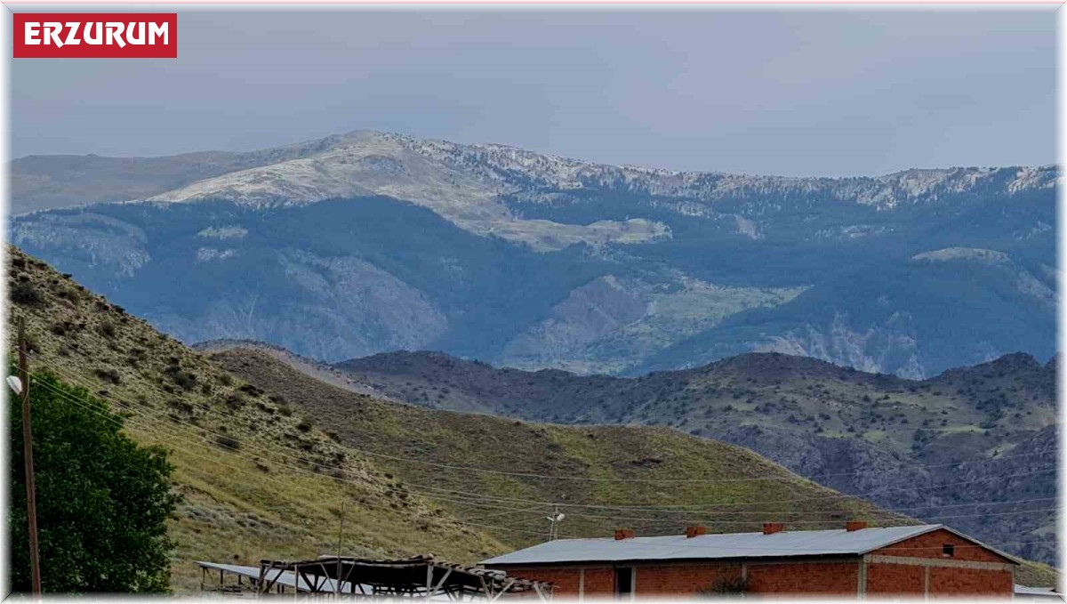 Oltu'da Kırdağı beyaza büründü