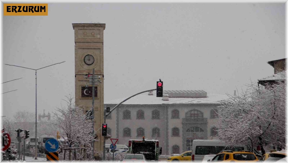 Oltu'da martta yağan kar besicileri zorluyor