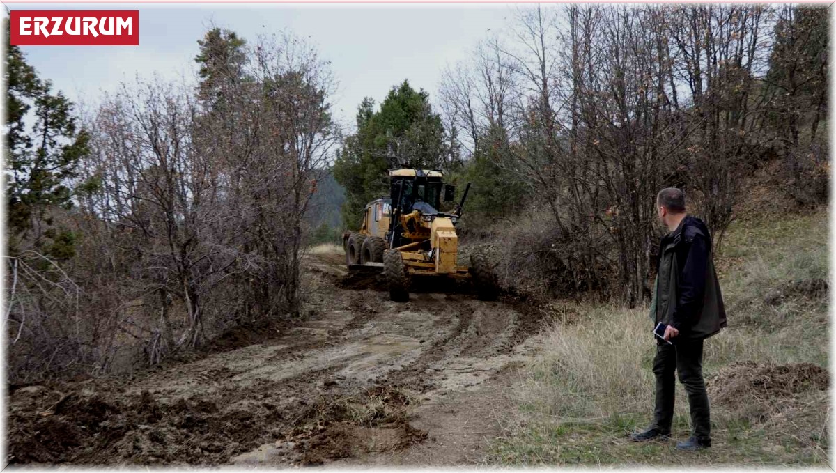 Oltu'da orman yollarına bakım ve onarım yapılıyor