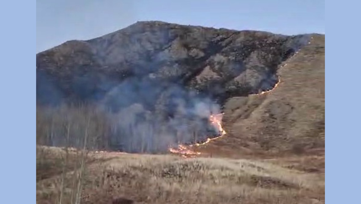 Oltu'da örtü yangını korkuttu