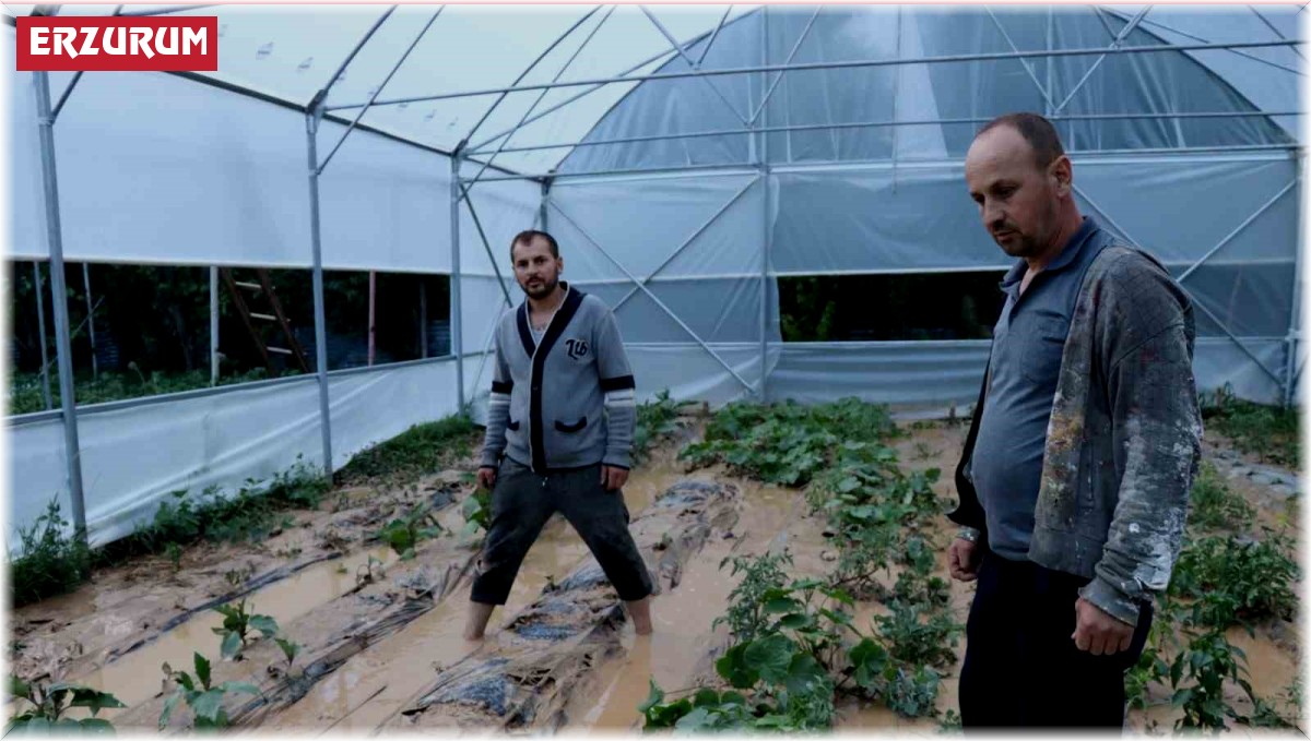 Oltu'da sağanak yağış sele dönüştü