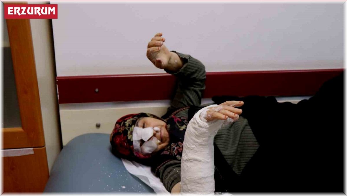 Oltu'da sokak köpekleri dehşet saçtı