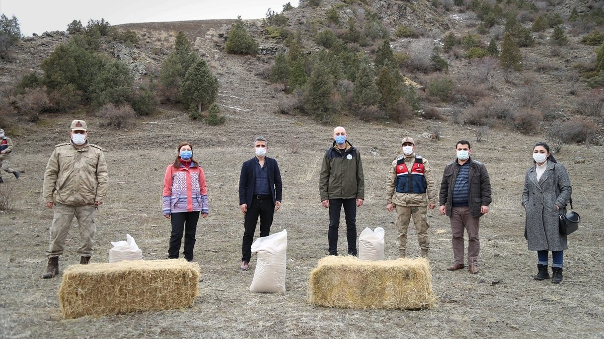 Oltu'da yaban hayvanları için doğaya yem bırakıldı