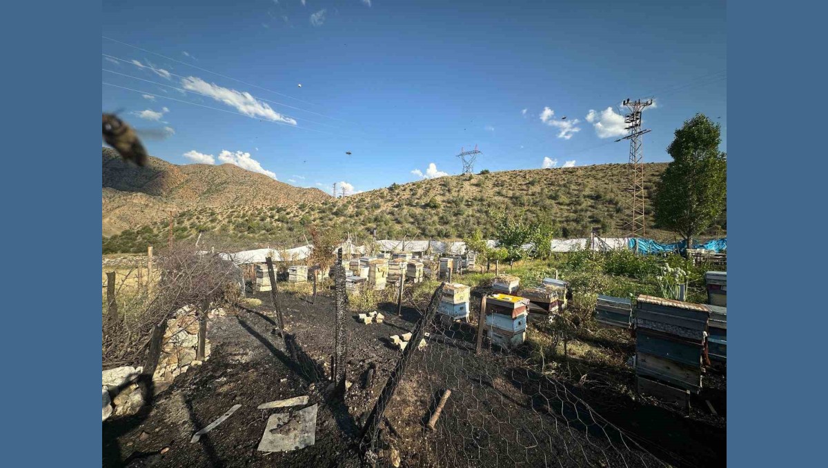 Oltu'da yangın faciası: 30 arı kovanı telef oldu