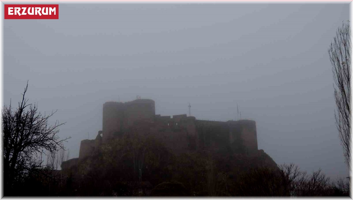 Oltu'da yoğun sis etkili oluyor