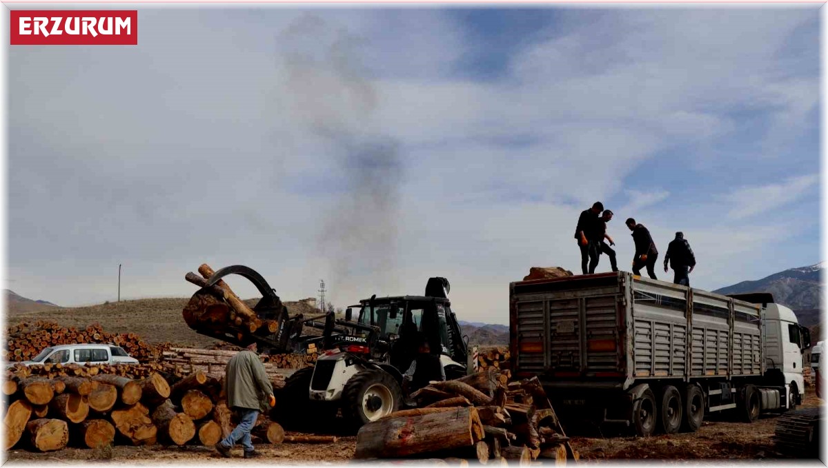 Oltu'dan deprem bölgesine yakacak desteği