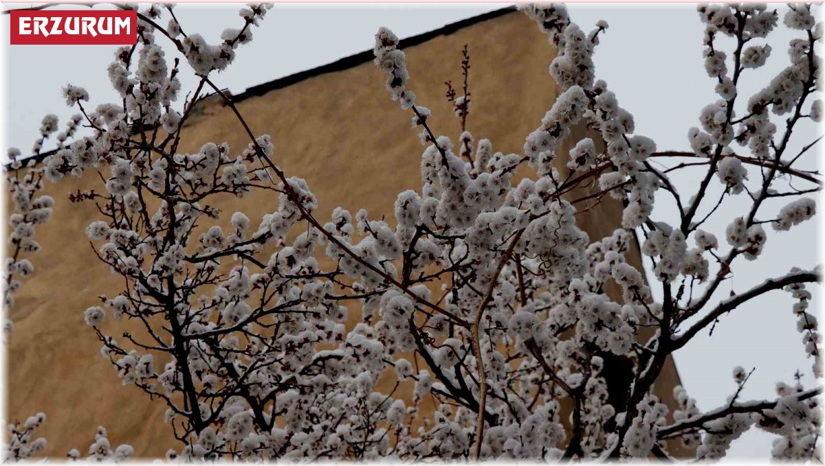 Oltu'ya Mart karı yağdı