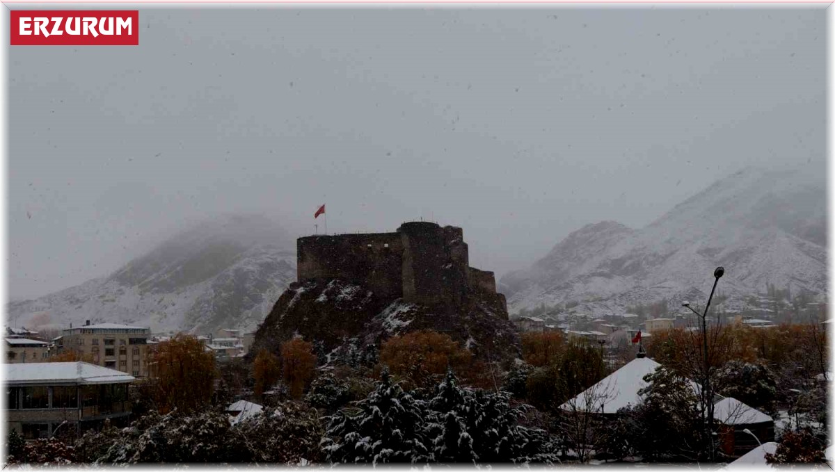Oltu'ya yılın ilk karı yağdı