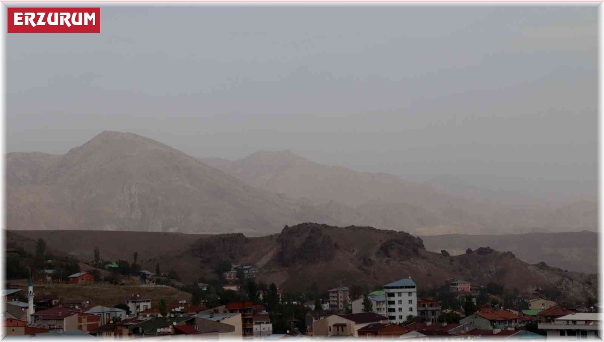 Oltu'yu toz bulutu sardı