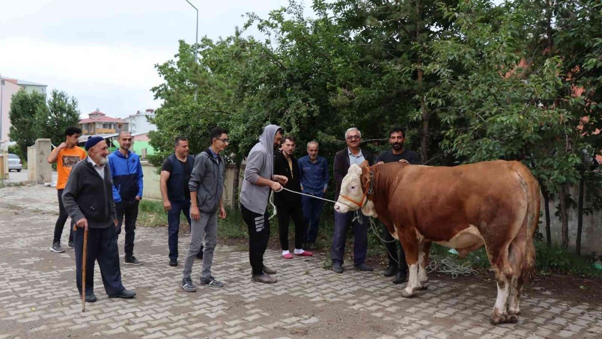 Oltulular kurban kesim alanlarına akın etti