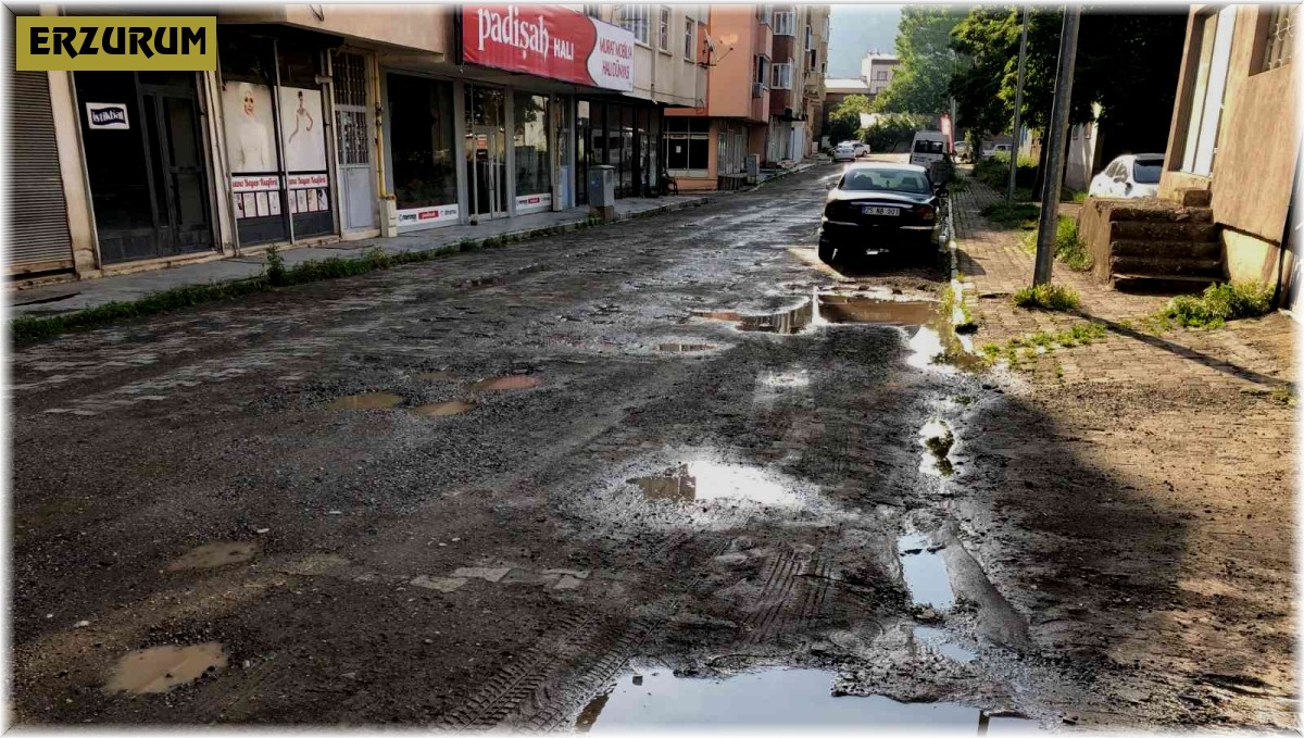 Oltuluların yol tepkisi