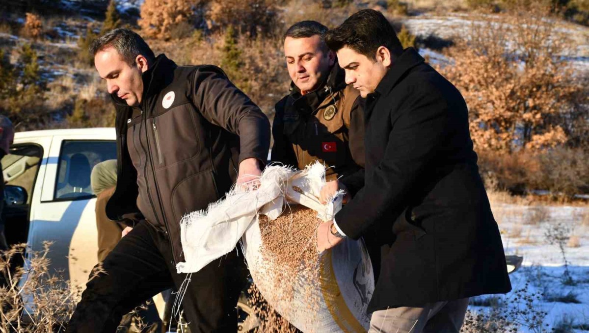 Olur'da yaban hayat unutulmadı