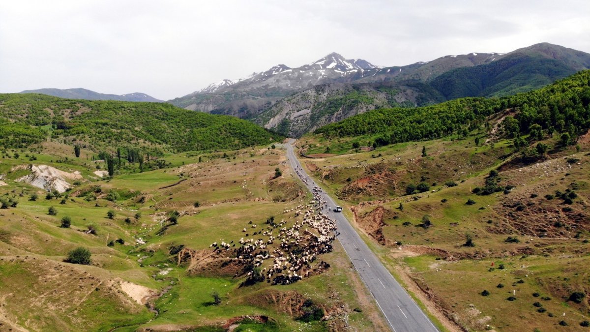 On binlerce hayvanla Muş'a gelen yetiştiriciler hayal kırıklığı yaşadı