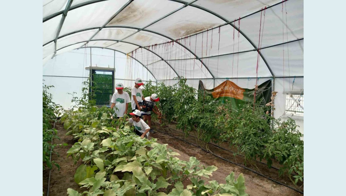 Önce öğrenip üretiyorlar, sonra yiyorlar