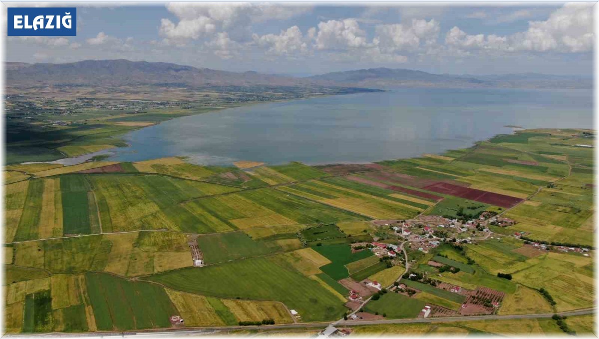 Önceden çölü andıran baraj sahası suyla doldu