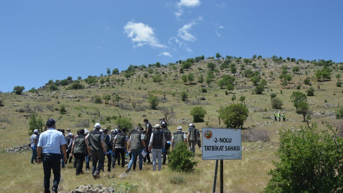 Orman işletme şeflerine teorik ve uygulamalı eğitim