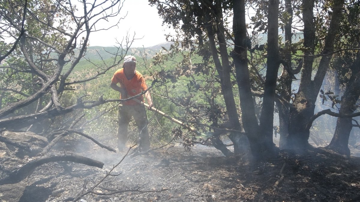 Orman yangınına havadan ve karadan müdahale sürüyor, yüzde 70 oranında kontrol altına alındı