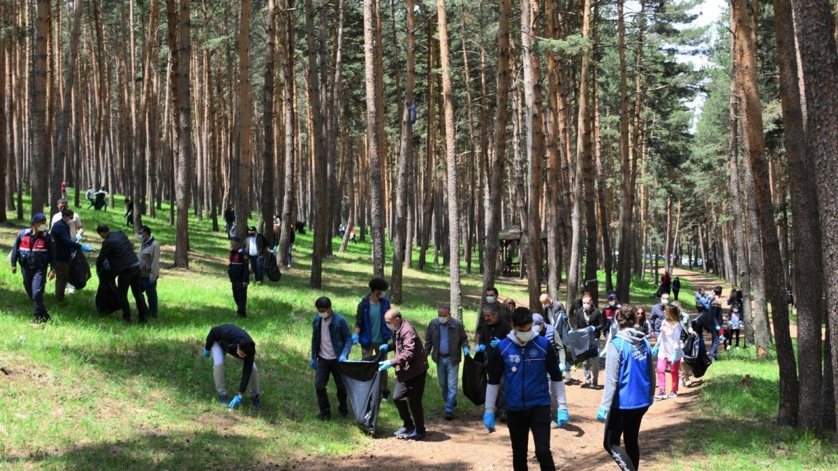 Ormanı didik didik temizlediler