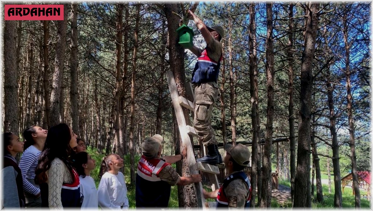 Ormanlara kuş yuvası asıldı
