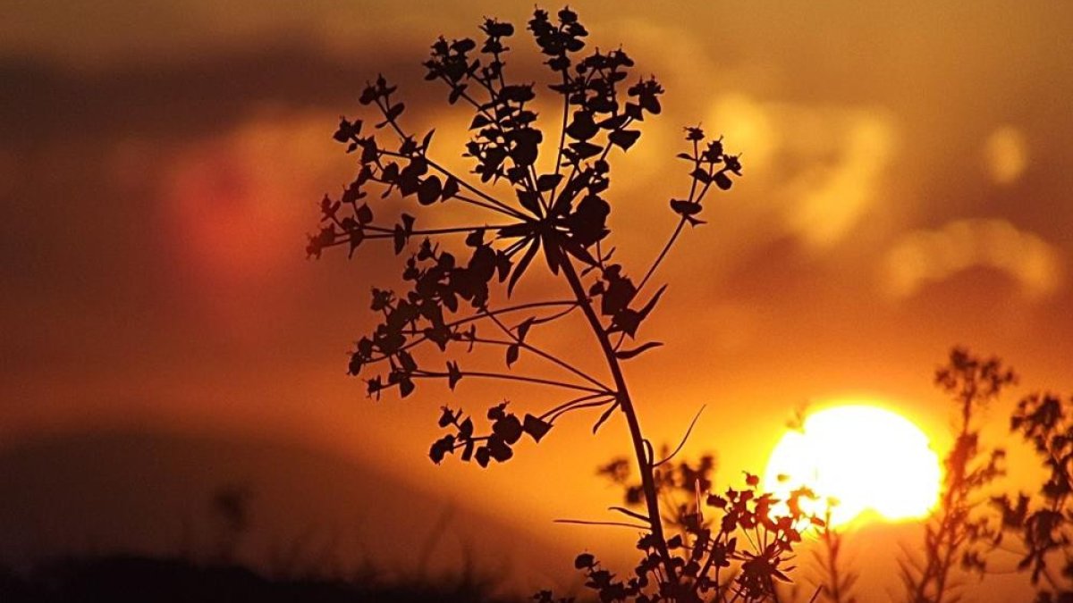 Ormanlık alanlara girişler 31 Ağustos'a kadar yasaklandı