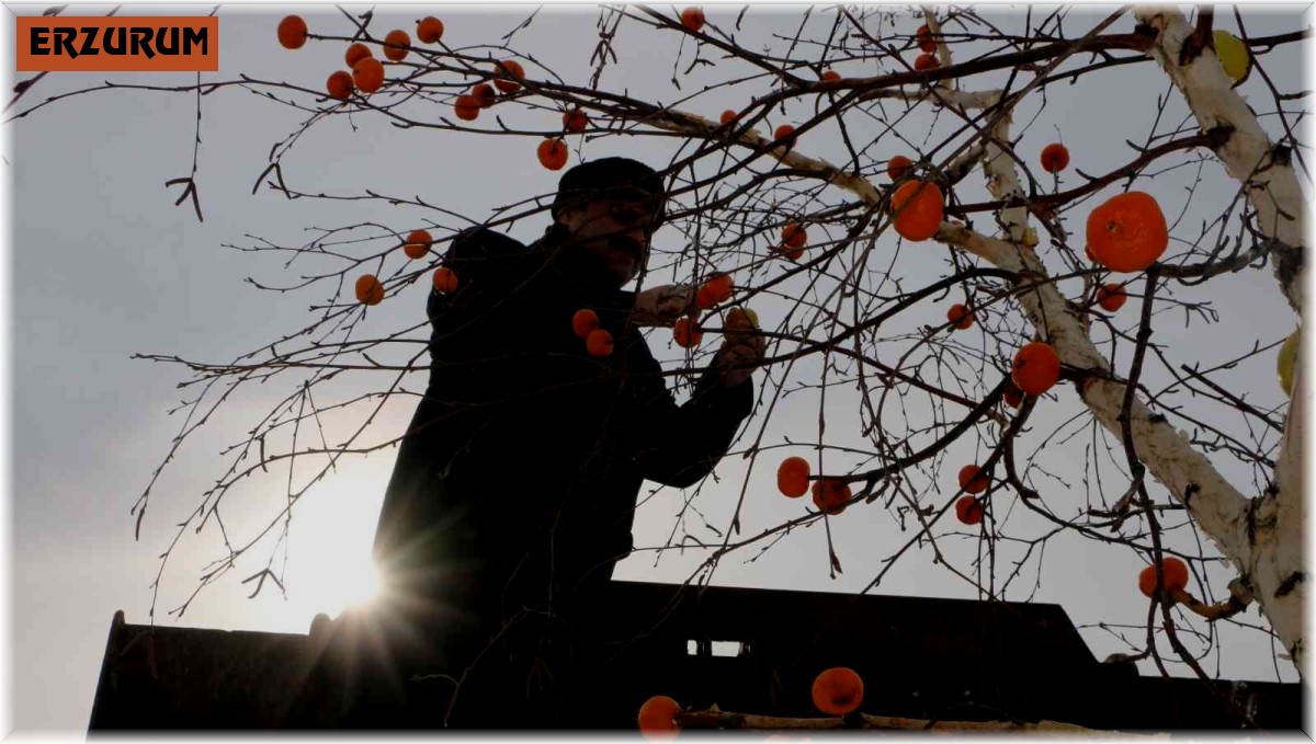 Osmanlının ince geleneği burada yaşatılıyor