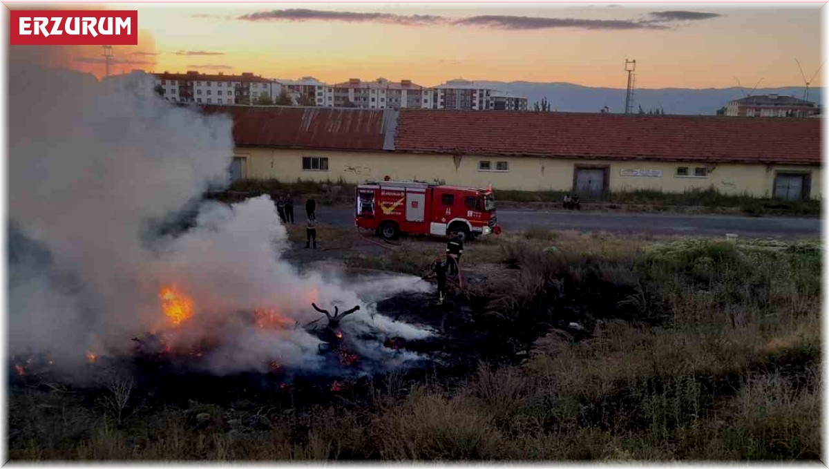 Ot yangını korkuttu