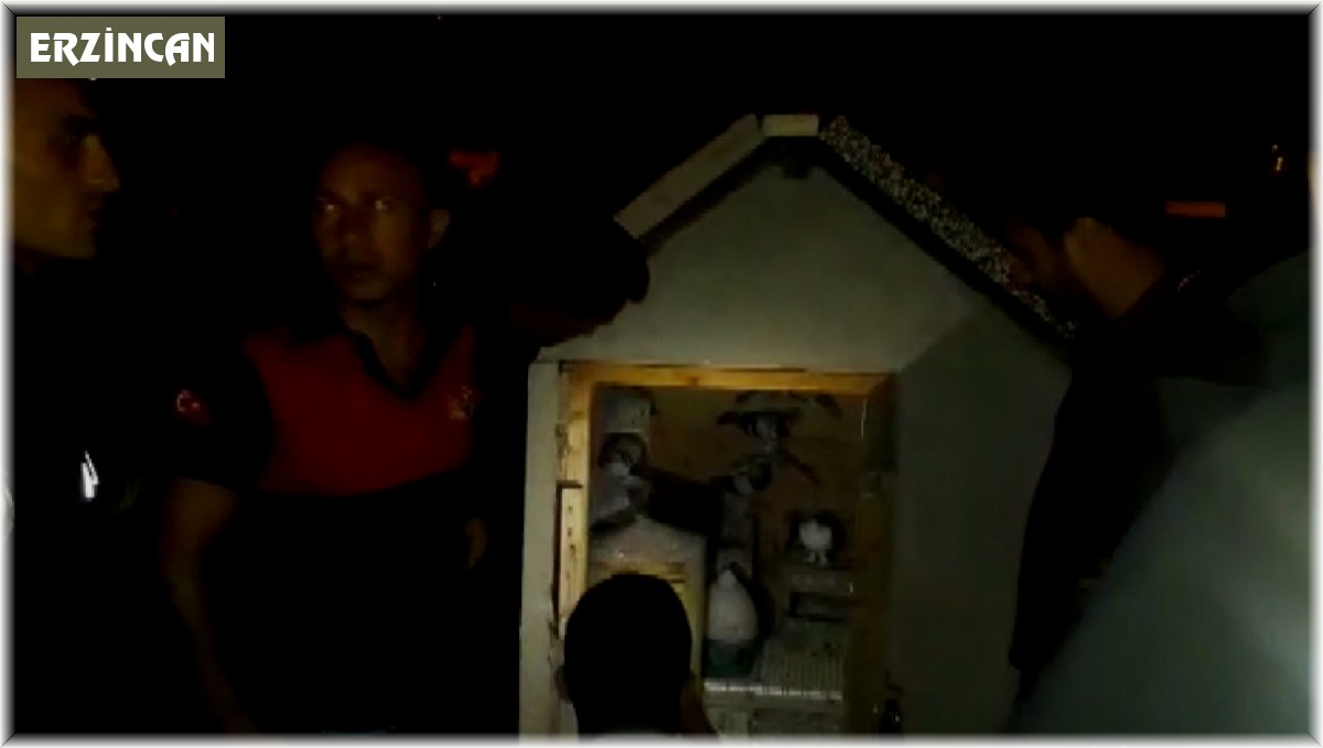 Ot yangınında güvercinler telef oldu