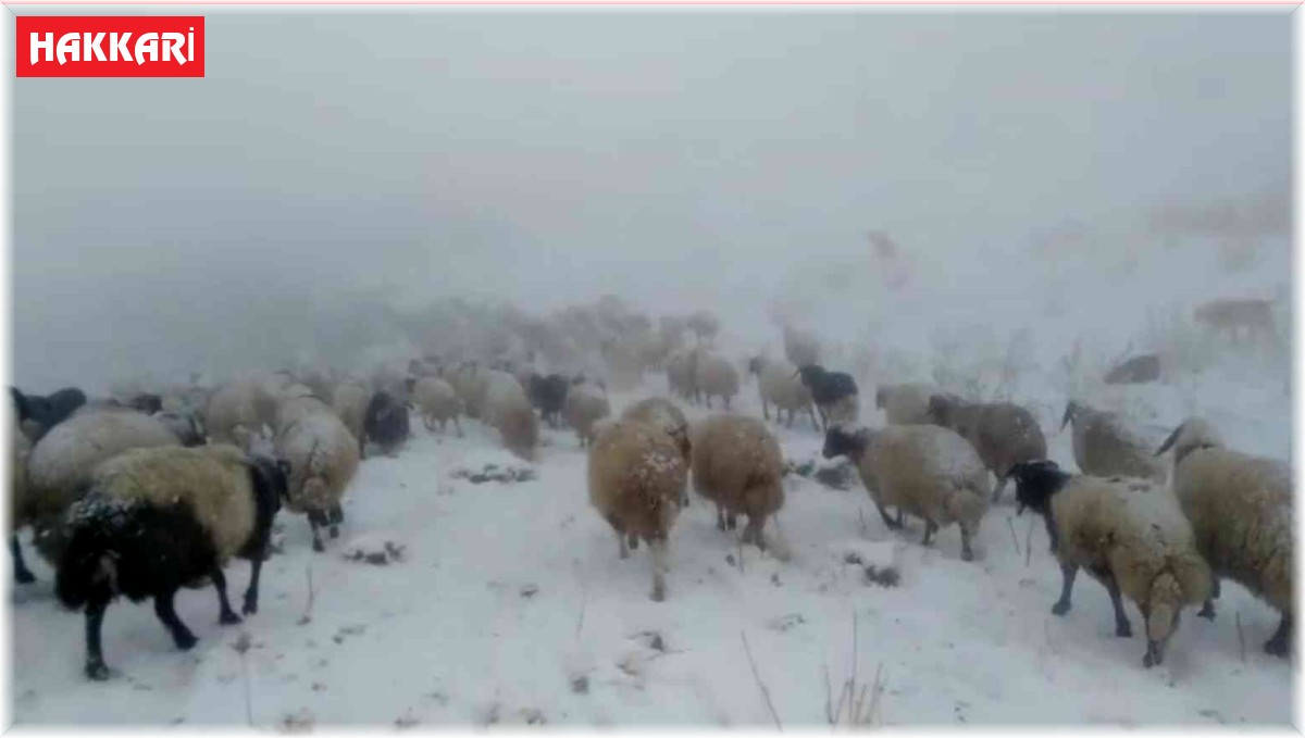 Otlanmaya çıkarılan sürü kar yağışına yakalandı