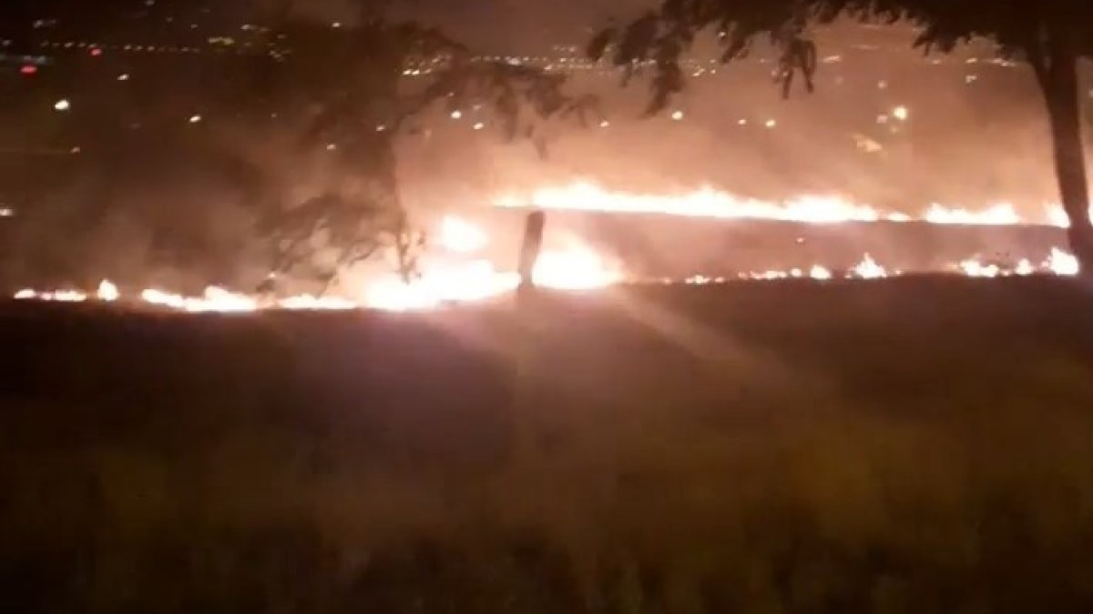 Otluk alanda yangın paniği