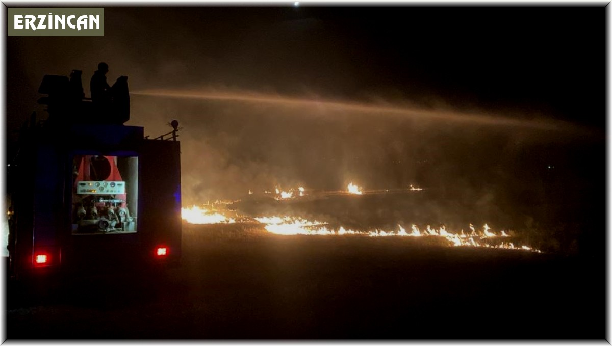 Otluk arazide çıkan yangın geceyi aydınlattı