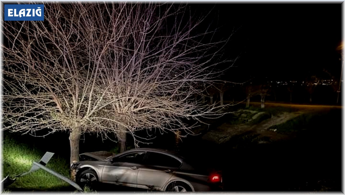 Otomobil ağaca çarptı: 1 yaralı