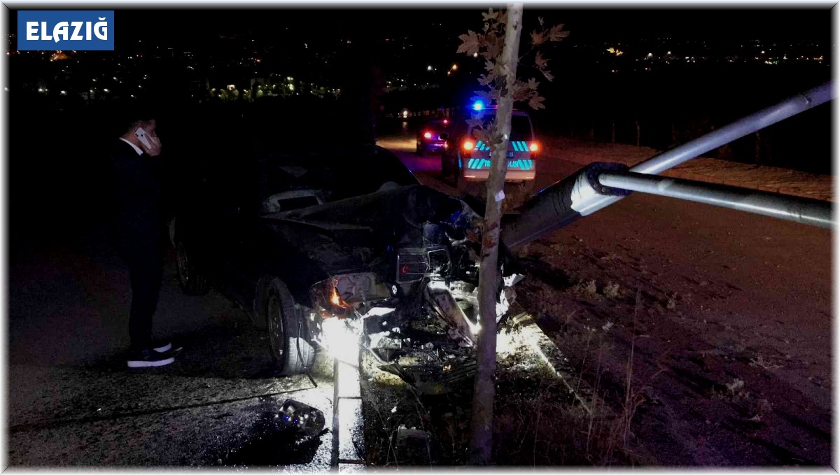 Otomobil aydınlatma direğini ve ağacı devirdi: 1 yaralı