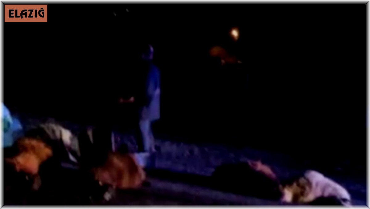 Otomobil koyun sürüsüne çarptı: 14 koyun telef oldu