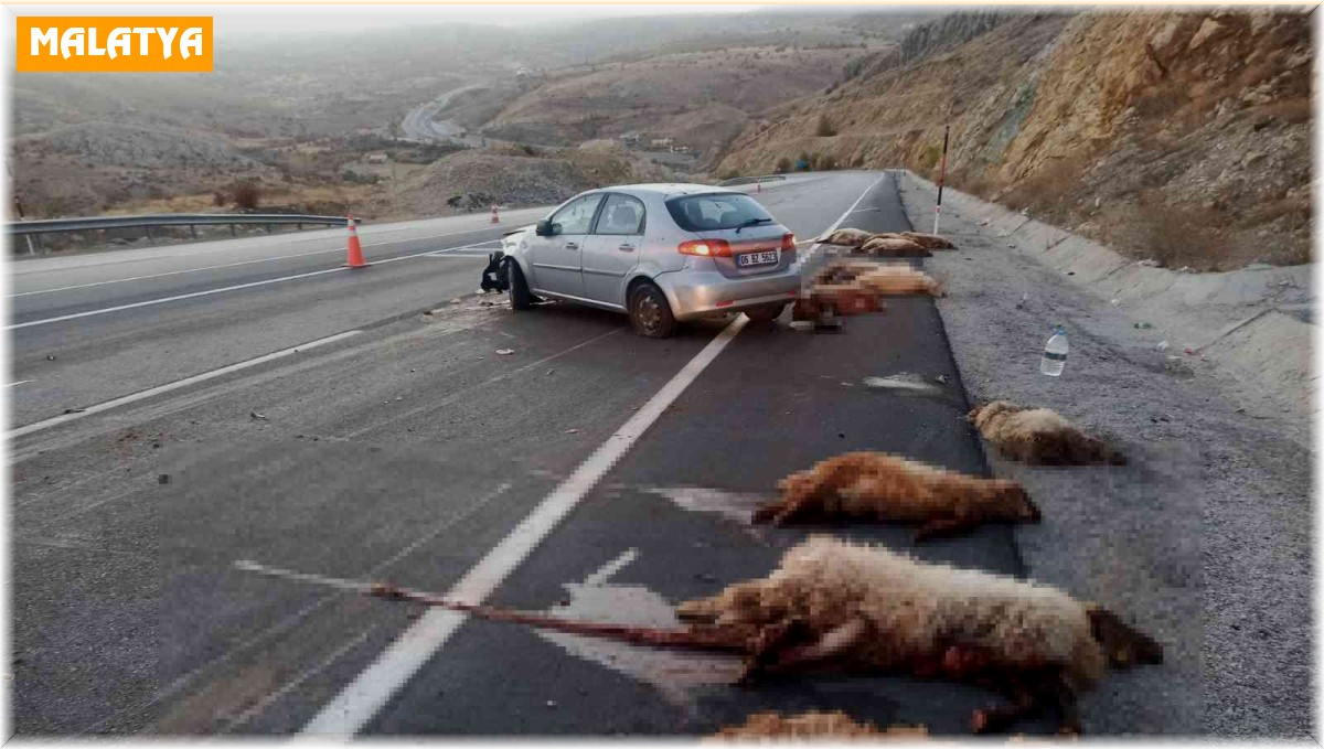 Otomobil sürüye daldı, 18 koyun telef oldu