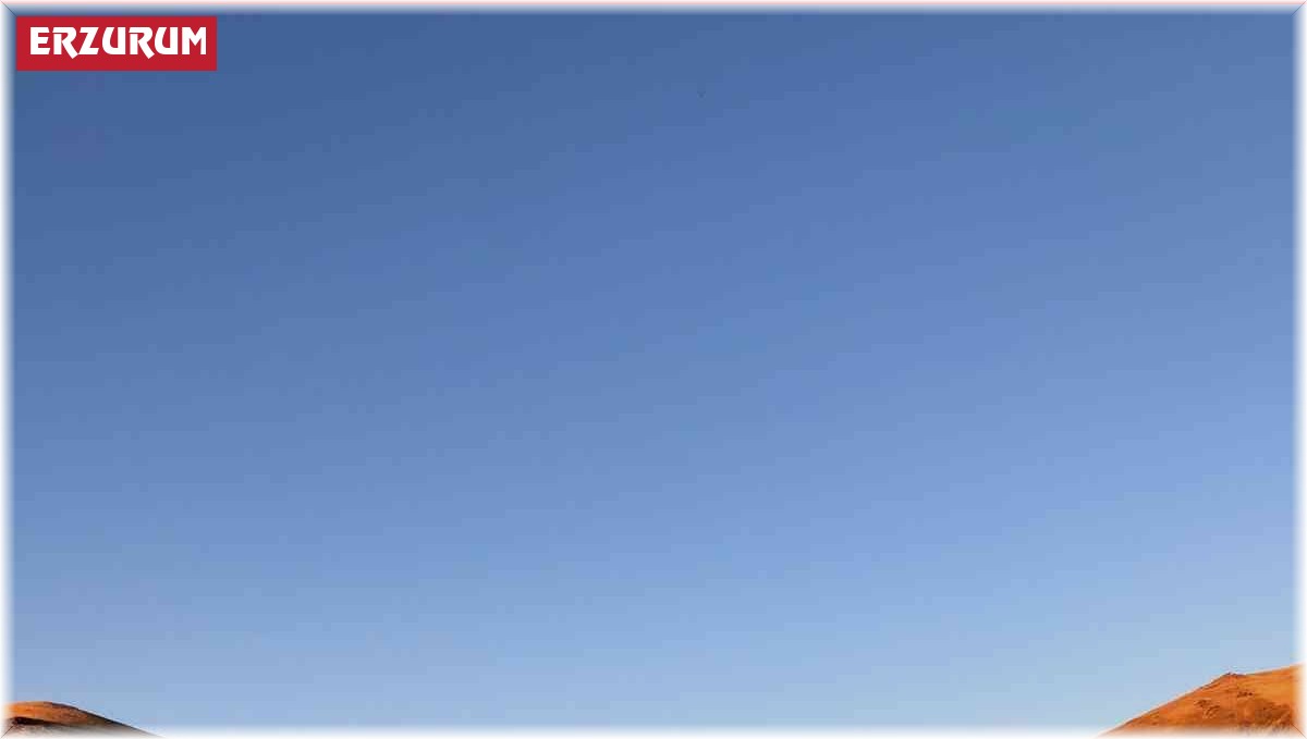 Otomobilde silahla öldürüldü