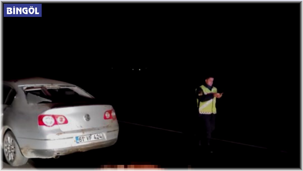 Otomobilin çarptığı at telef oldu, sürücü yaralandı