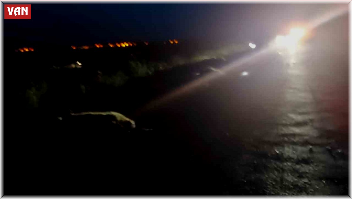 Otomobilin çarptığı çok sayıda koyun telef oldu